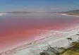 Tuz Gölü Pembe Renge Büründü, Ziyaretçi Akınına Uğradı