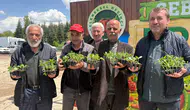 Pursaklar’da 3 Bin 500 Kişiye Ata Tohumu Fidesi Dağıtıldı