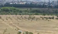Yenimahalle Uğur Mumcu Mahallesi'nde Ot Yangını Söndürüldü