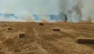 Ankara Nallıhan'da tarla yangını kontrol altına alındı