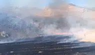 Nallıhan Çayırhan Mahallesi'nde Otluk Alan Yangını Söndürüldü