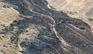 Nallıhan'da Tarım Arazisi Yangını Ormana Sıçramadan Söndürüldü