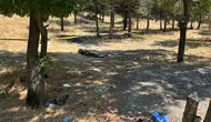 Ankara'daki Kadın Cinayetinde Alacak Verecek İddiası