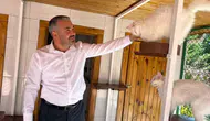Ankara kedileri 27 ülkeden 7/24 canlı izleniyor