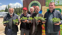 Pursaklar’da 3 Bin 500 Kişiye Ata Tohumu Fidesi Dağıtıldı