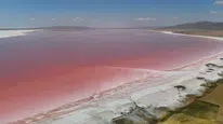 Tuz Gölü Pembe Renge Büründü, Ziyaretçi Akınına Uğradı