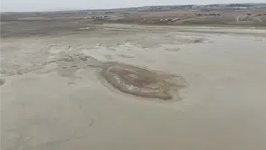 Ankara’da Kuraklık Alarmı: Allı Turnaların Yuvası Yok Oluyor