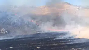 Nallıhan Çayırhan Mahallesi'nde Otluk Alan Yangını Söndürüldü