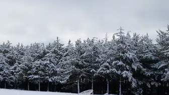 Ankara’da Kar Yağışı: Yüksek Kesimler Beyaza Büründü