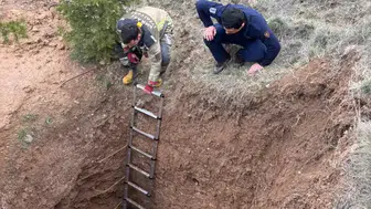 Çukura Düşen Köpek Kurtarıldı