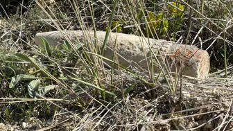 Ankara’da Mantar Ararken Patlamamış Top Mermisi Bulundu