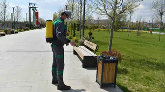 Ankara Büyükşehir’den Yaz Öncesi Yoğun Haşere Mücadelesi