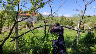 Akyurt’ta Kaçan Kurbanlık Dana Uzun Uğraşlar Sonucu Yakalandı