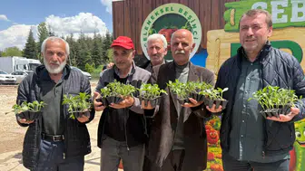 Pursaklar’da 3 Bin 500 Kişiye Ata Tohumu Fidesi Dağıtıldı