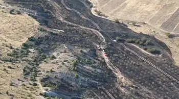 Nallıhan'da Tarım Arazisi Yangını Ormana Sıçramadan Söndürüldü