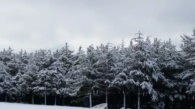 Ankara’da Kar Yağışı: Yüksek Kesimler Beyaza Büründü