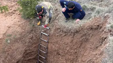 Çukura Düşen Köpek Kurtarıldı