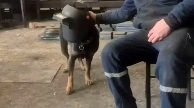 Ankara’da Engelli Çalışana İşkence Davasında 3 Sanık Tahliye Edildi