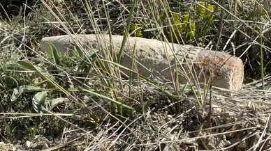 Ankara’da Mantar Ararken Patlamamış Top Mermisi Bulundu