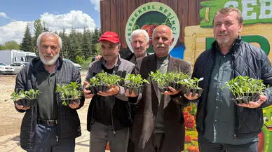 Pursaklar’da 3 Bin 500 Kişiye Ata Tohumu Fidesi Dağıtıldı