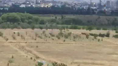 Yenimahalle Uğur Mumcu Mahallesi'nde Ot Yangını Söndürüldü