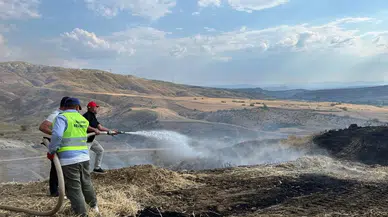 Nallıhan'da arazi yangını ekiplerin müdahalesiyle söndürüldü