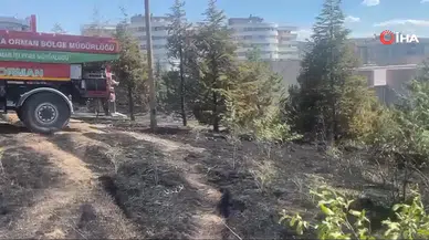 Çankaya'da Arazi Yangını İtfaiyenin Müdahalesiyle Söndürüldü