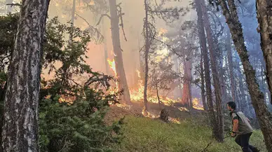 Nallıhan'da Orman Yangını Havadan ve Karadan Söndürüldü