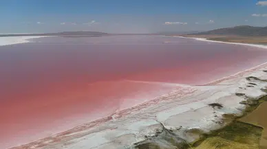 Tuz Gölü Pembe Renge Büründü, Ziyaretçi Akınına Uğradı