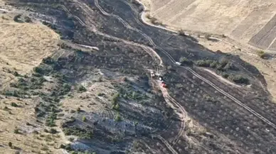 Nallıhan'da Tarım Arazisi Yangını Ormana Sıçramadan Söndürüldü