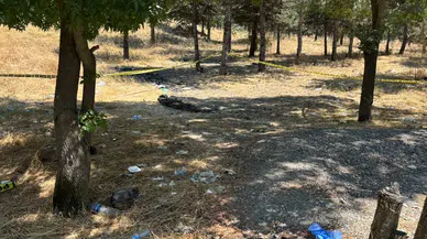 Ankara'daki Kadın Cinayetinde Alacak Verecek İddiası