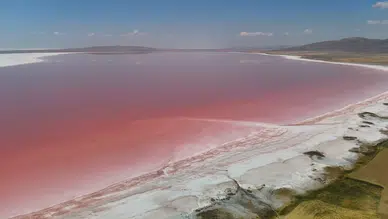 Tuz Gölü Pembe Renge Büründü, Ziyaretçi Akınına Uğradı