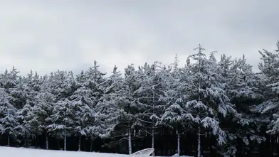 Ankara’da Kar Yağışı: Yüksek Kesimler Beyaza Büründü