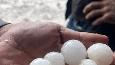 Ankara’da Dolu Yağışı Etkili Oldu: Gölbaşı Beyaza Büründü