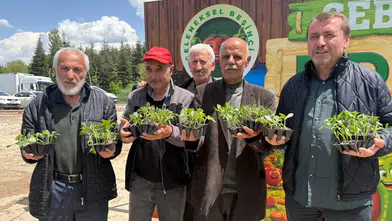 Pursaklar’da 3 Bin 500 Kişiye Ata Tohumu Fidesi Dağıtıldı