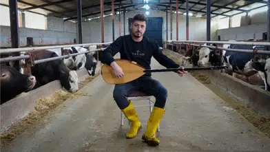 Çubuklu Besici Kurbanlıklarına Türkü Söylüyor
