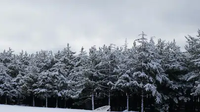 Ankara’da Kar Yağışı: Yüksek Kesimler Beyaza Büründü