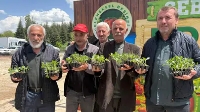 Pursaklar’da 3 Bin 500 Kişiye Ata Tohumu Fidesi Dağıtıldı