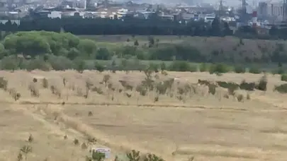 Yenimahalle Uğur Mumcu Mahallesi'nde Ot Yangını Söndürüldü