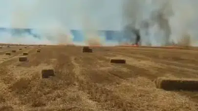 Ankara Nallıhan'da tarla yangını kontrol altına alındı