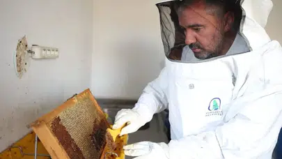 Pursaklar'da Abadan Bal Ormanı'nda Yeni Sezon Hasadı