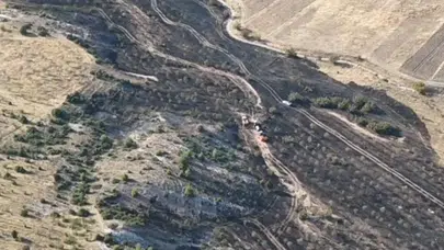 Nallıhan'da Tarım Arazisi Yangını Ormana Sıçramadan Söndürüldü