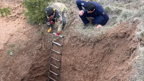 Çukura Düşen Köpek Kurtarıldı