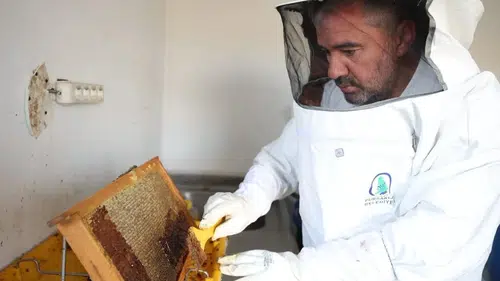Pursaklar'da Abadan Bal Ormanı'nda Yeni Sezon Hasadı