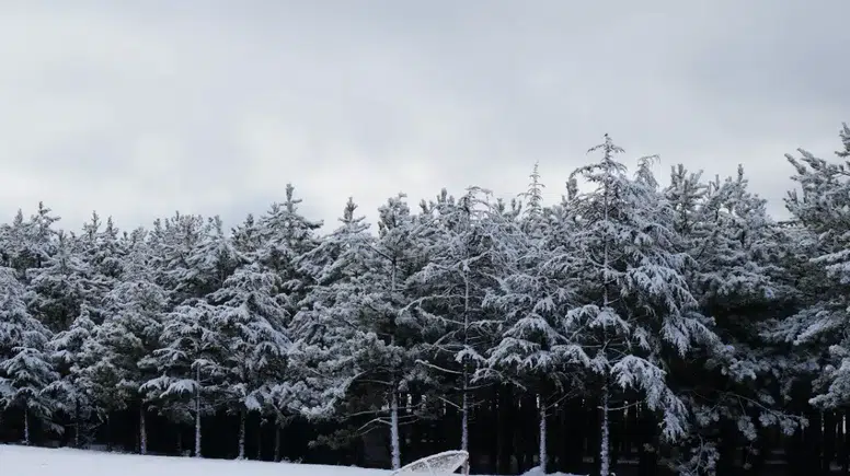 Ankara’da Kar Yağışı: Yüksek Kesimler Beyaza Büründü