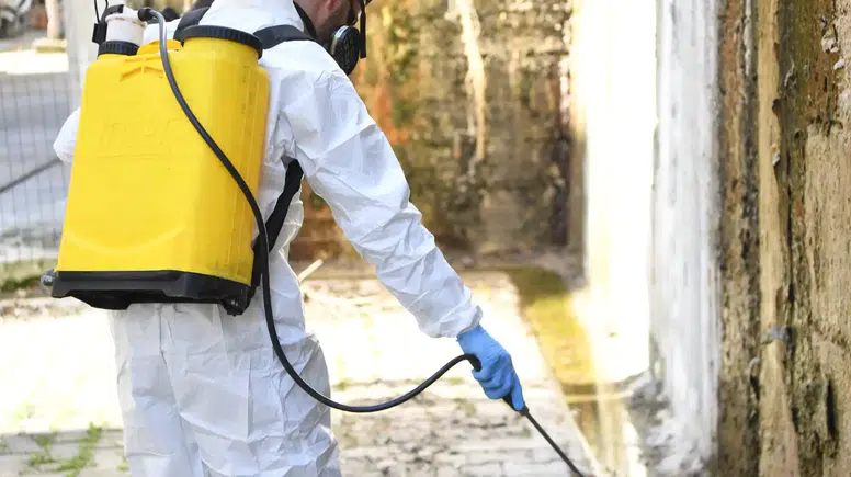 Mamak Belediyesi Haşere ve Larvaya Karşı İlçe Genelinde Sahada