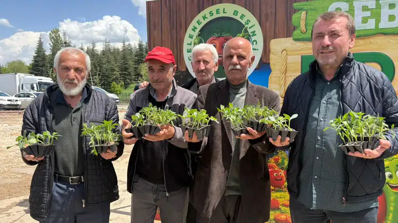 Pursaklar’da 3 Bin 500 Kişiye Ata Tohumu Fidesi Dağıtıldı